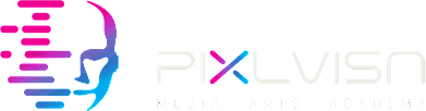 PIXL VISN